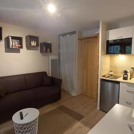 Apartment Au Pied Des Remontees/wifi/smart Tv/parking *