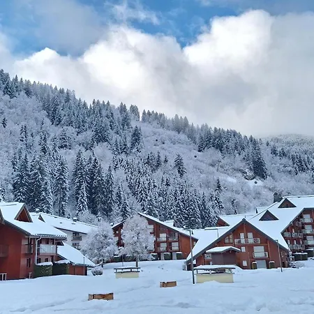 Au Pied Des Remontees/wifi/smart Tv/parking *
