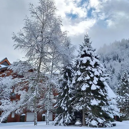 Apartment Au Pied Des Remontees/wifi/smart Tv/parking *